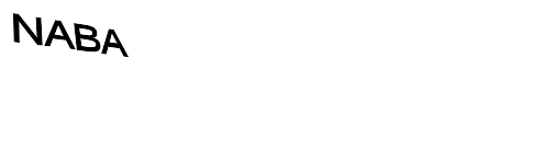 Accademia di Belle Arti Legalmente Riconosciuta di Milano “Naba” - Nuova Accademia Di Belle Arti - sede Roma logo